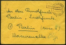 ALL. BES. GEBÜHR BEZAHLT DIERSBURG über Offenburg, 18.9.47, Violetter R1 Gebühr Bezahlt, Handschriftlich 24 Und Signum,  - Autres & Non Classés