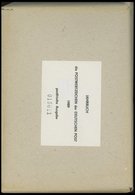 JAHRESZUSAMMENSTELLUNGEN J 6 **, 1989, Jahreszusammenstellung, Postfrisch, Pracht, Mi. 170.- - Unused Stamps