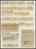 DIENSTMARKEN B D 24/5 O,BrfStk , 1959, 115 Verschiedene Gestempelte Wertstufen Für Den ZKD, Fast Nur Prachterhaltung, Mi - Autres & Non Classés