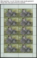 BUNDESREPUBLIK 2630-35KB **, 2007, Haustiere Im Kleinbogensatz, Pracht, Mi. 90.- - Used Stamps