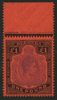 BERMUDA-INSELN 116c **, 1951, 1 £ Schwarz/violett Auf Scharlach, Gezähnt 13 (SG 121d), Postfrisch, Pracht - Bermudas