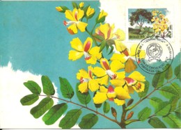 Carte Souvenir - Brasil - 40 Anos Sociedade Botanica - Pau-brasil - Caesalpina Echinata - Maximumkaarten