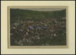 CALW, Gesamtansicht, Kolorierter Holzstich Um 1880 - Litografía