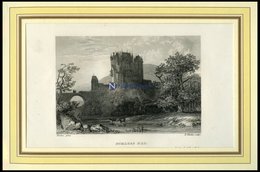 Schloß ELZ, Stahlstich Von Verhas/Winkles Um 1840 - Lithografieën