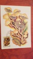 USSR. Hypholoma Fasciculare. Forest. Mushroom - Maxicard 1986 - Funghi