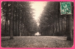 Péruwelz - Descente Vers Le Château De L'Ermitage - Edit. E. & B. - 1914 - Péruwelz