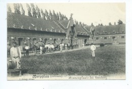 Merksplas Merxplas Colonie Cour Intérieure De La Ferme Binnenplaats Der Boerderij - Merksplas