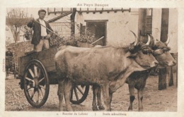 CARTE POSTALE ORIGINALE ANCIENNE : AU PAYS BASQUE ATTELAGE DE BOEUFS  BOUVIER DE LABOUR ANIMEE PYRENEES ATLANTIQUES (64) - Attelages