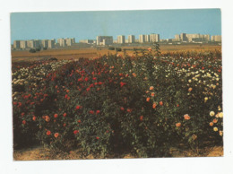 69 Rhone Vénissieux Vue Sur Les Minguettes - Vénissieux