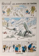 Affiche Tintin : Tintin Au Tibet - Affiches & Offsets