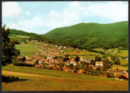 C9589 - Rimbach Im Bayerischen Wald - Günter Feuerpfeil - Cham