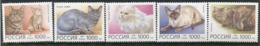 RUSSIA 1996 Cats  MNH / **.  Michel 485-89 - Unused Stamps