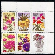 RUSSIA 1996 Garden Flowers MNH / **.  Michel 480-84 - Neufs