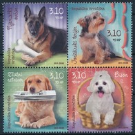 ** 2013 Kutyák Négyestömb,
Dogs Block Of 4
Mi 1068-1071 - Other & Unclassified