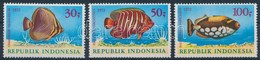 ** 1972 Halak Sor,
Fishes Set
Mi 722-724 - Andere & Zonder Classificatie