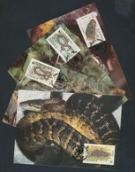 1984 WWF Boa Sor Mi 591-594 I 4 CM - Other & Unclassified