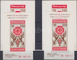 ** 1990 Kényszerfelár Bélyeg: Tuberkulózis Elleni Kampány Mi 191 Fogazott és Vágott De Luxe Blokk Díszborítóval - Other & Unclassified