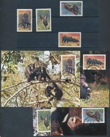 ** 1983 WWF Közönséges Csimpánz Sor Mi 713-716 + 4 CM + 4 FDC-n - Andere & Zonder Classificatie