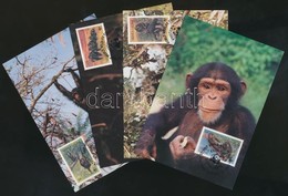 ** 1983 WWF: Csimpánzok Sor Mi 713-716 + 4 Db CM + 4 Db FDC - Other & Unclassified