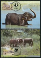 1986 WWF: Elefánt Sor Mi 753-756 4 Db CM-en - Sonstige & Ohne Zuordnung