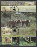 1986 WWF: Elefántok Sor 4 Db CM-en Mi 753-756 - Other & Unclassified