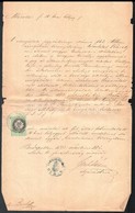 1873 Bp., Vizsgálati Jegyzőkönyv 50 Kr Hosszú Papírráncos Okmánybélyeggel - Sin Clasificación