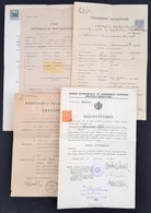 1918-1950 5 Db Bizonyítvány - Unclassified
