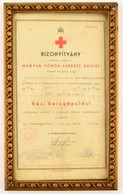 1942 Somsály-Bányatelep,  A Magyar Vöröskereszt Egylet által Kiállított Házi Betegápolási Bizonyítvány, üvegezett Keretb - Sin Clasificación