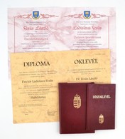 Cca 1990-2010 Állatorvosi Aranydiploma, Habilitációs Oklevél, Tiszteletbeli Doktori Oklevél, Professzori ösztöndíj Oklev - Ohne Zuordnung