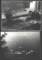 Cca 1970 Vegyes Fotó Tétel: Csendélet, életképek, Utazás, Stb., összesen 12 Db Nagyméretű Fotó, Egy Részük Hátulján Feli - Other & Unclassified