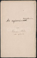 Cca 1900 Timon Béla: Az Egésszámok Keletkezése. Kézirat 22 Oldalon - Zonder Classificatie