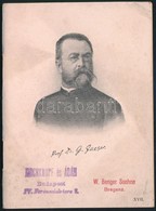 Cca 1900 Dr. Jaeger C, Tanár-féle Gyapjú Alsóruházat Képes árjegyzék 41p. 12 Cm - Pubblicitari