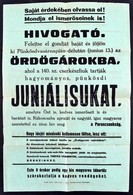 Cca 1930 Rákoscsaba, 140. Sz. Cserkészfiú Csapat Pünkösdi Juniálisának Meghívó Plakátja. Rákoscsaba, Kirchner-ny., Hajtá - Scouting