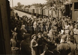 Cca 1942 Thöresz Dezső (1902-1963) Békéscsabai Gyógyszerész és Fotóművész Szolgálatot Teljesített Egy Sebesültszállító V - Other & Unclassified