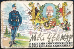 1902 Sorkatona Hazaküldött Visszaszámláló Képeslapja. Sérült Propaganda Lap - Altri & Non Classificati
