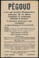1913 Pégoud Repülős Budapesten. Hirdetmény, Plakát, Röplap 16x23 Cm - Sin Clasificación