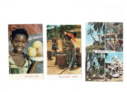 Lot 3 Cpm - Meilleurs Voeux - Douala Cameroun - Jeune Fille Au Travail  - PAYSAGES D AFRIQUE - - Cameroun