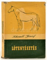 Schandl József: Lótenyésztés. Bp.,1959, Mezőgazdasági Kiadó. Második, átdolgozott Kiadás. Szövegközti Fekete-fehér Fotók - Non Classificati