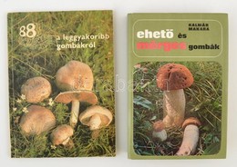 Dr. Kalmár Zoltán-Dr. Makara György: Ehető és Mérges Gombák. Bp.,1978, Natura. Negyedik Kiadás. Kiadói Kartonált Papírkö - Unclassified