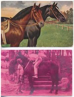 5 Db RÉGI Motívumlap: Lovak / 5 Pre-1945 Motive Postcards: Horses - Sin Clasificación