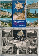 ** 4 Db MODERN Képeslap Havasi Gyopárral (3 élővirágos) / 4 Modern Postcards With Edelweiss Flower (Leontopodium Nivale) - Zonder Classificatie