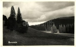 T1/T2 Borszék, Borsec; Erdőrészlet / Forest (13,7 Cm X 8,5 Cm) - Ohne Zuordnung