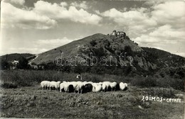* T2 Lippa, Lipova; Cetatea Soimos / Solymosi Vár, Legelő Juhnyáj / Castle, Grazing Sheep. Steinitzer Photo - Ohne Zuordnung