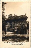 * T2 1939 Mikháza, Calugareni; Poarta Secuiasca / Mikházai Székelykapu / Székely Gate, Carved Wooden Gate, Transylvanian - Sin Clasificación