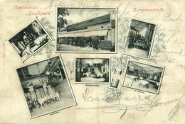 * T4 1900 Nagyszeben, Hermannstadt, Sibiu; Restauration 'Stadtpark', Kleiner Speisesaal, Veranda, Frühstückzimmer, Gr. S - Ohne Zuordnung