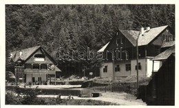 T2 Radnaborberek, Valea Vinului; M. Kir. Földm. Minisztérium üdülőtelepe / Holiday Resort - Unclassified