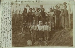 T2/T3 1916 Szilágysomlyó, Simleu Silvaniei; Mezítlábas Kapáló Nők A Földeken / Barefoot Women With Hoes On The Fields. P - Sin Clasificación