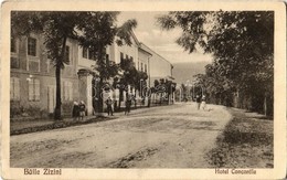 ** T2/T3 Zajzonfürdő, Zizin; Hotel Concordia Szálloda / Hotel (EK) - Ohne Zuordnung