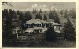 T2/T3 1944 Rozsnyó, Roznava; MTE Pozsálói Menedékháza (Ökörhegy). Sengler Ferenc Felvétele / Skalisko Mountain Peak, Cha - Sonstige & Ohne Zuordnung