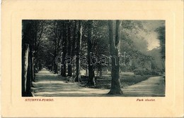 T2/T3 1911 Stubnyafürdő, Túróchévíz, Stubnianske Teplice, Turcianske Teplice; Park. W. L. Bp. 4858. Kiadja Kohn Edéné /  - Sonstige & Ohne Zuordnung